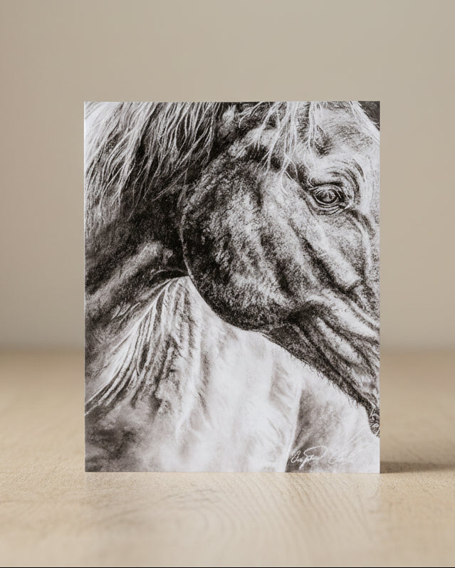 Close-up of a horse's face with a textured background