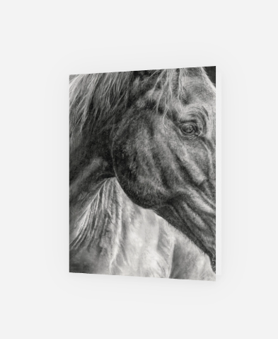 Greeting Card 'Connection Beyond Words' horse image 0