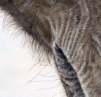 'Never Say Goodbye' Horse Fine Art Print image 2