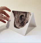 Greeting Card 'Never Say Goodbye' Horse image 1