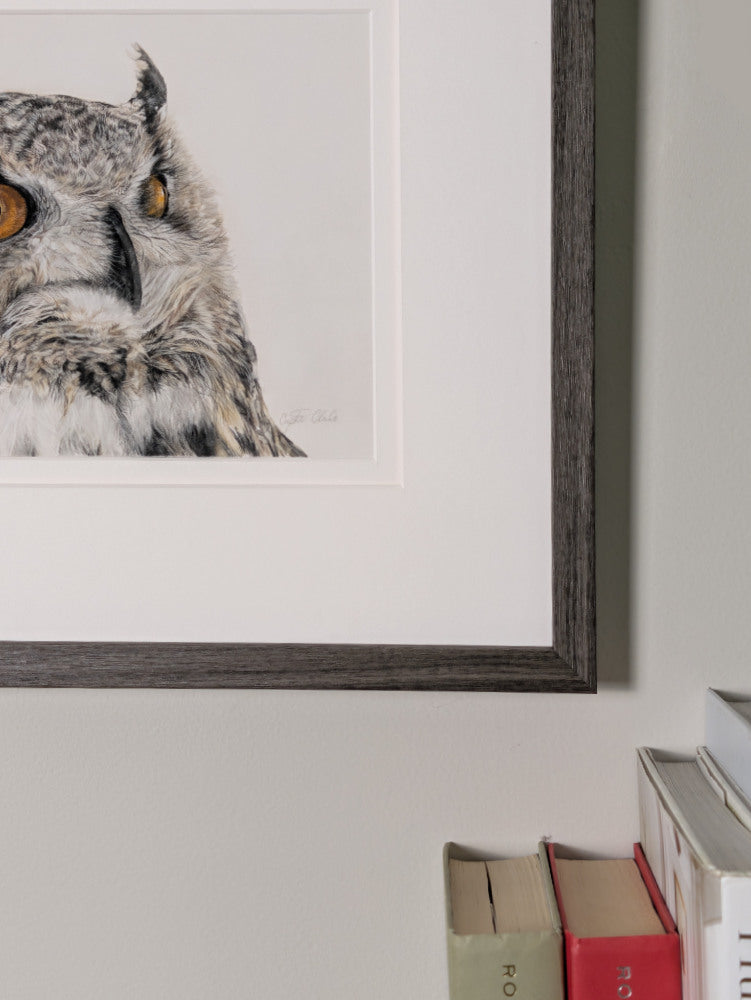 Framed picture of an owl on a wall with books below