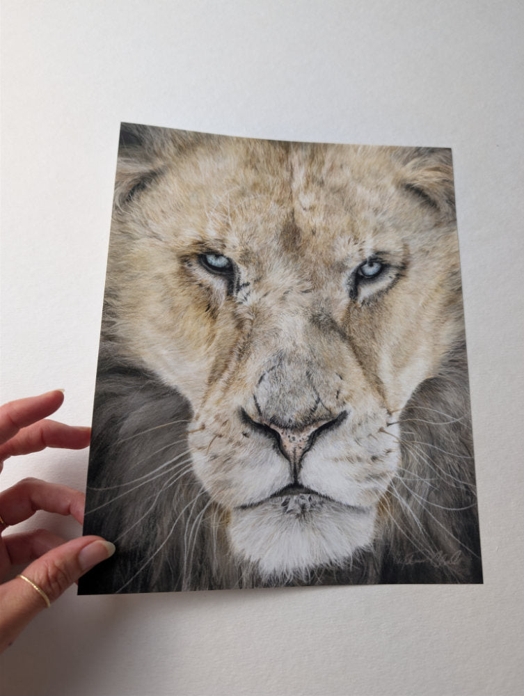 Hand holding a fine art print of a lion's face against a white background