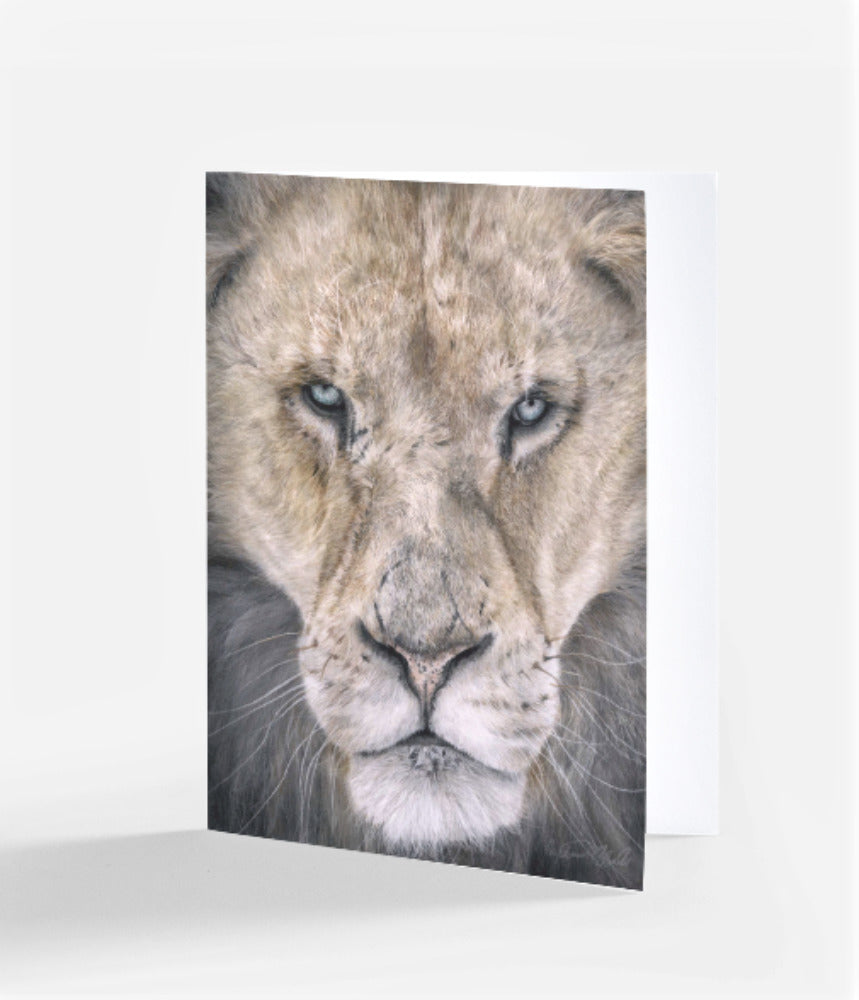 drawing of a lion's face on a white background