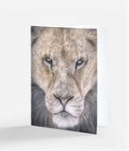 drawing of a lion's face on a white background