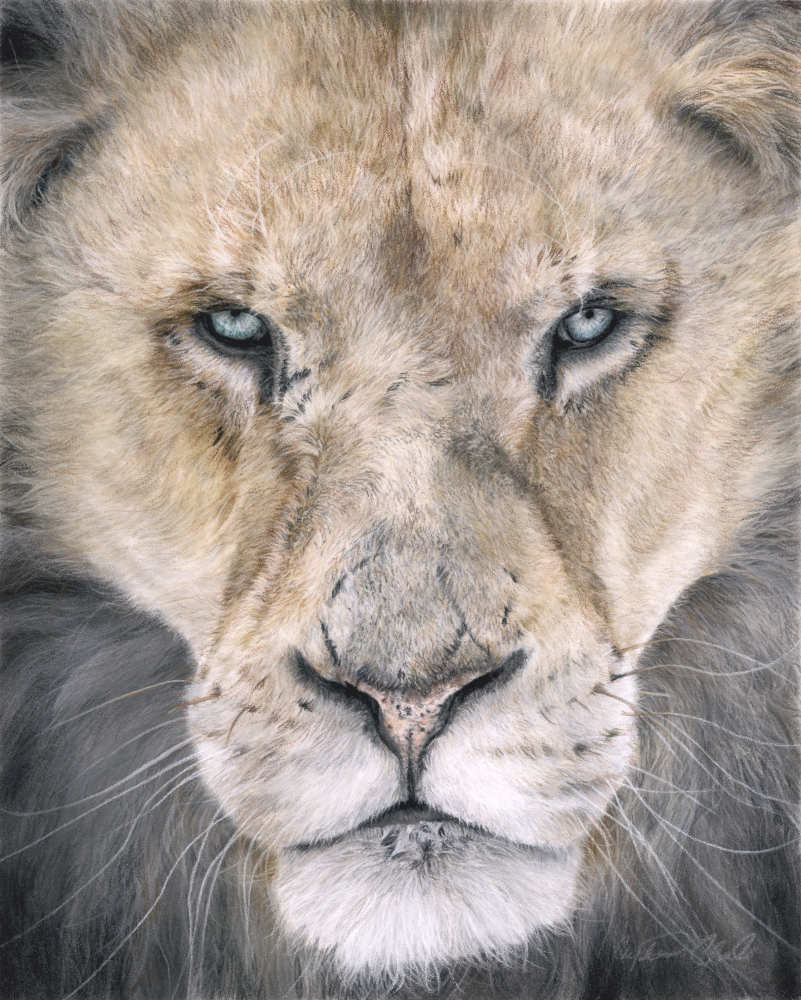 Close-up of a lion's face with detailed fur and expression