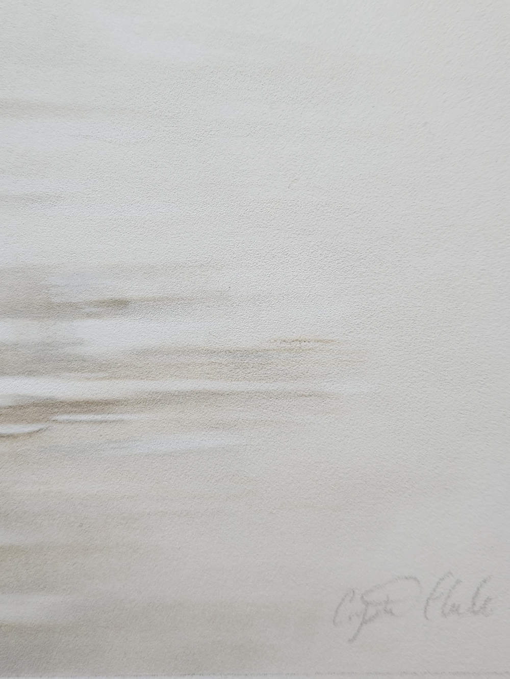 'Where Stillness Begins' Loon Fine Art Print image 3