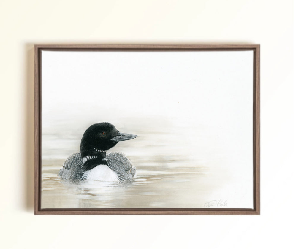 A framed pastel artwork of a loon duck floating on calm water, displayed on a light beige wall. The painting features a detailed black and white loon with gray feathers, set against a soft, misty background.