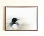 A framed pastel artwork of a loon duck floating on calm water, displayed on a light beige wall. The painting features a detailed black and white loon with gray feathers, set against a soft, misty background.