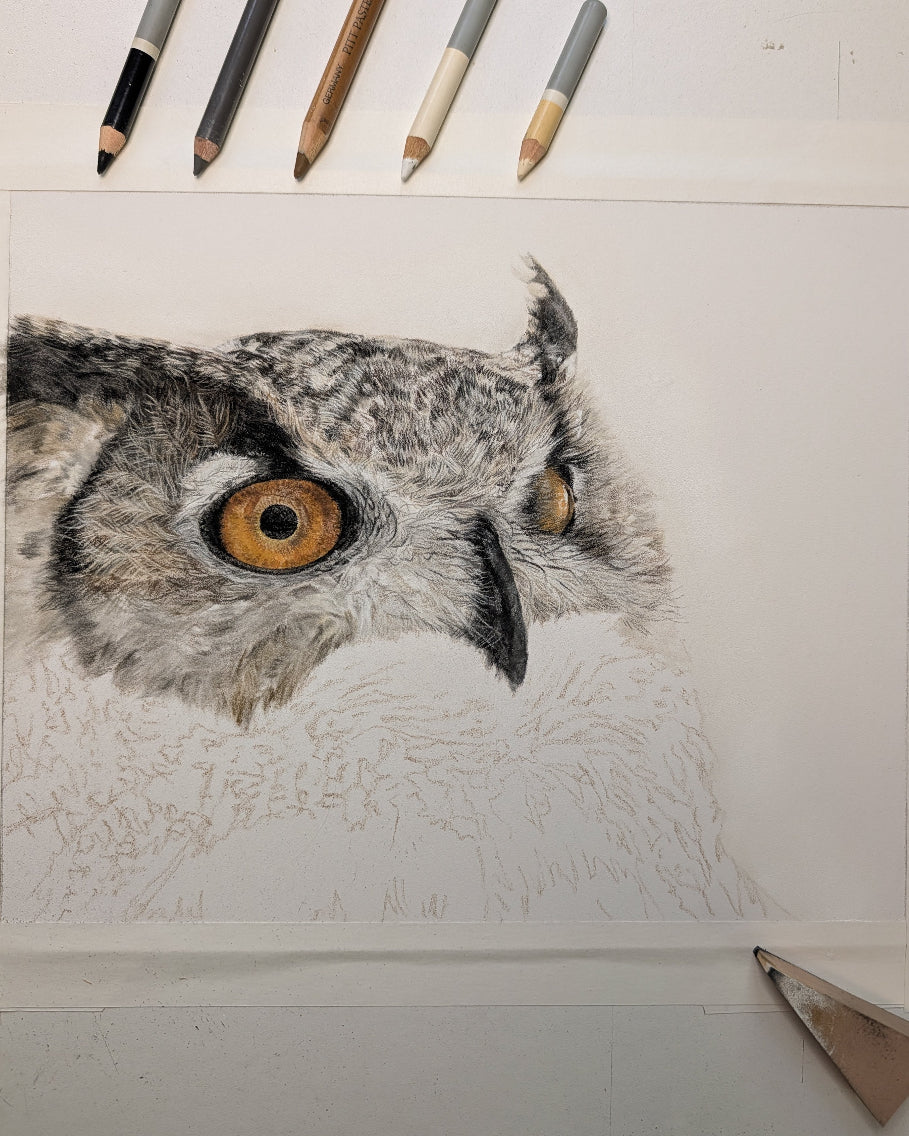 Detailed drawing of an owl with art supplies on a white background