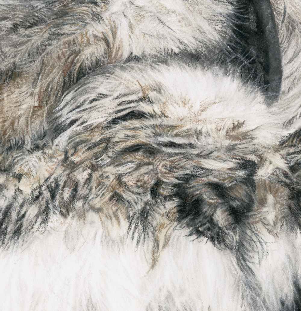 Close-up of a textured pastel artwork of an owl