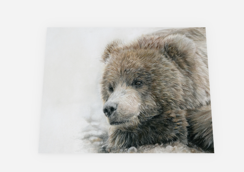 Greeting Card "Poppa Bear" Grizzly image 1