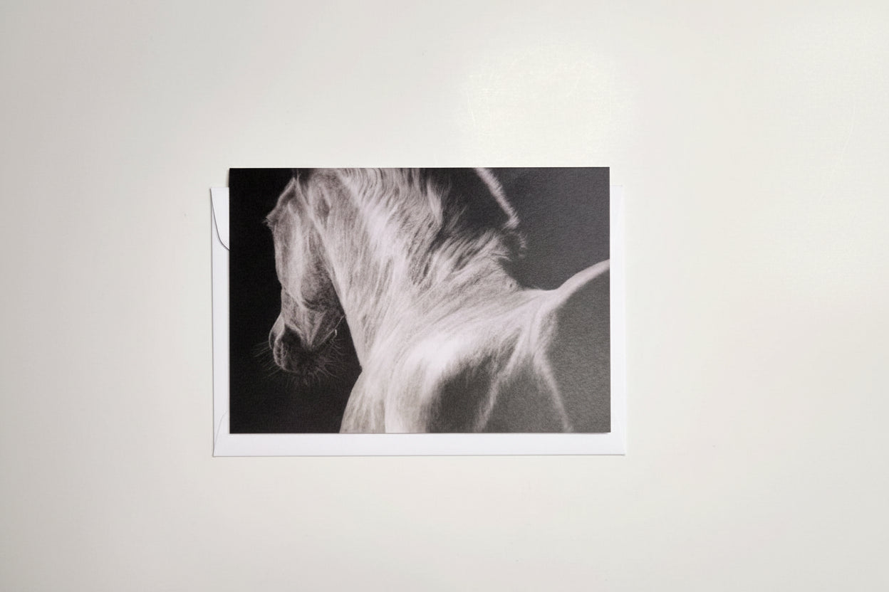 greeting card of a black and white drawing of a horse with a black background