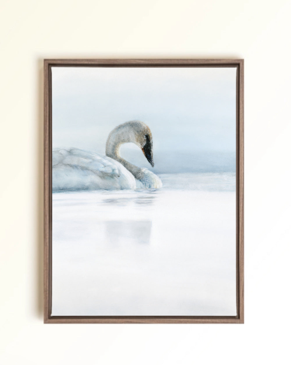 Canvas Print of a swan floating serenely on water with soothing blues throughout the entire piece. Drawn by Crystal Clarke