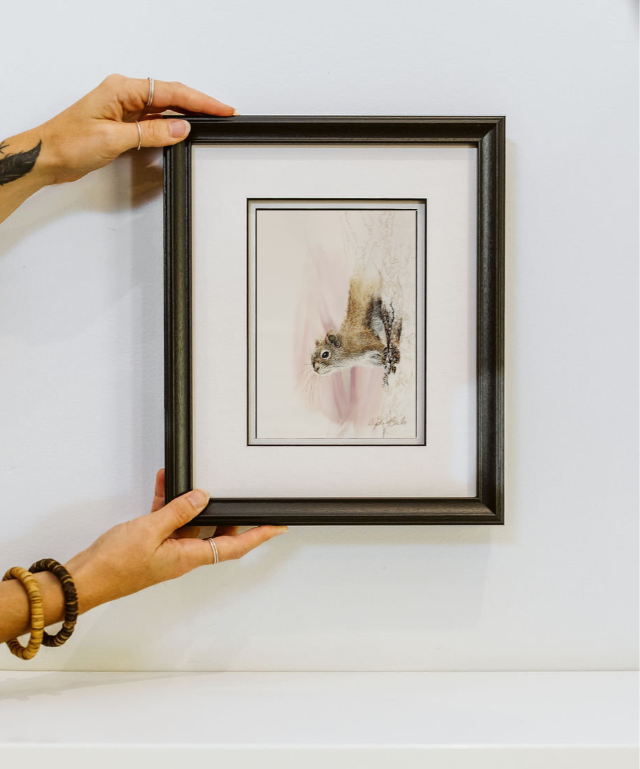 "The Moment" Squirrel Fine Art Print image 1