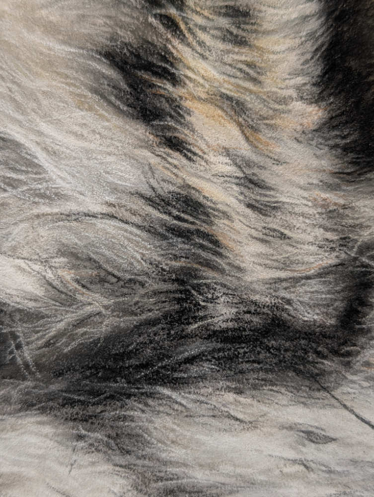Close-up of a textured pastel drawing of with gray, black, and beige colors.