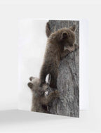Greeting Card 'With Me' Bear Cubs