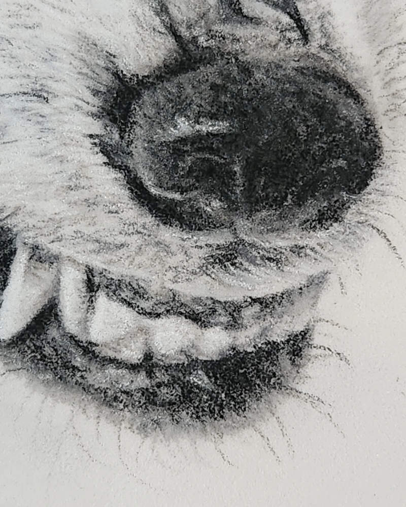 'She-Wolf' Wolf Fine Art Print image 1